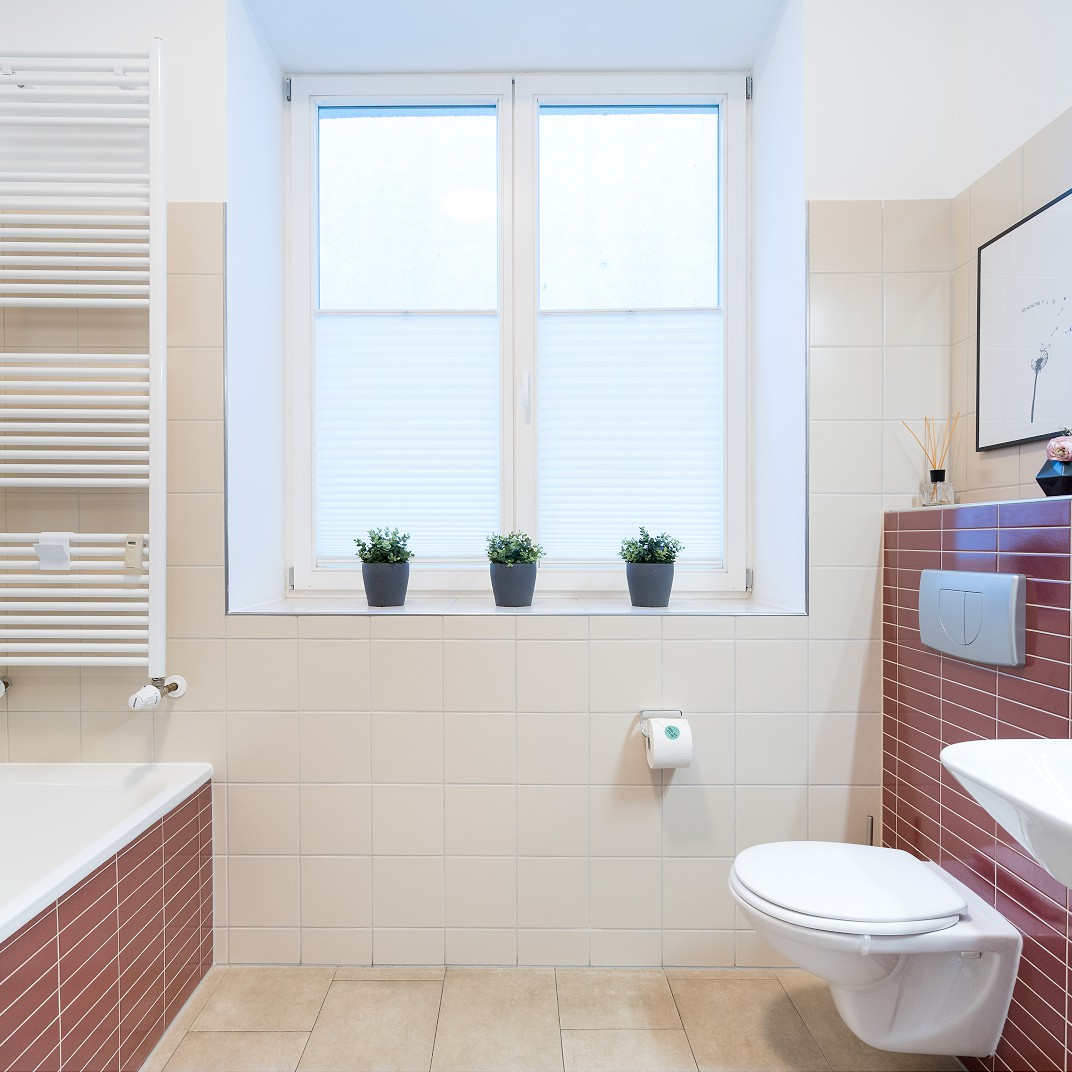 One Bedroom Apartment